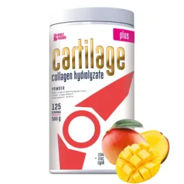 noble-pharma-cartilage-plus-500g-stawy-sciegna-wlosy-skora-paznokcie-kolana