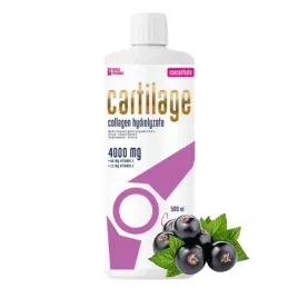 noble-pharma-cartilage-concentrate-500-ml-plyn-kolagen-stawy-hydrolizat