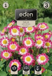 dalia-balkonowa-sweetheart-1-szt-eden