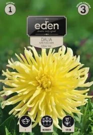 dalia-kaktusowa-yellow-star-1-szt-eden