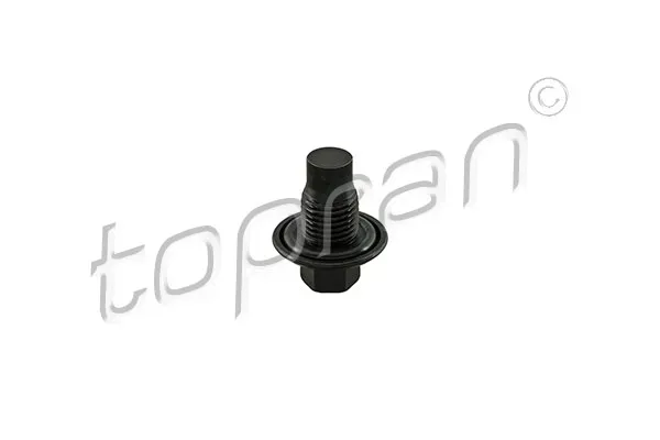sruba-spustu-oleju-ford-focus-16-12-