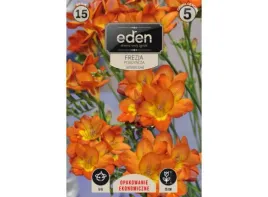 frezja-pomaranczowo-czerwona-15szt-eden
