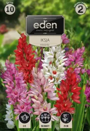 iksja-mieszanka-10-szt-eden