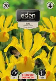 irys-holenderski-golden-harvest-zolty-20szt-eden