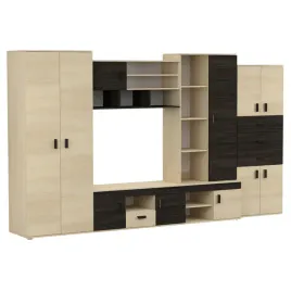 mebloscianka-nelly-z-rtv-350-stylowa-praktyczna-funkcjonalna-producent-pl