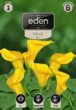 kalla-zolta-1-szt-eden
