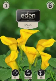 kalla-zolta-1-szt-eden