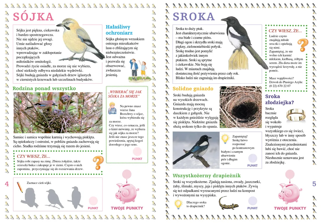 ptaki-wokol-nas-stan-nowy