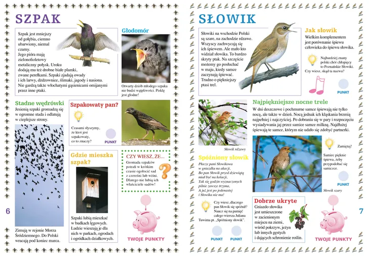 ptaki-wokol-nas-okladka-inna