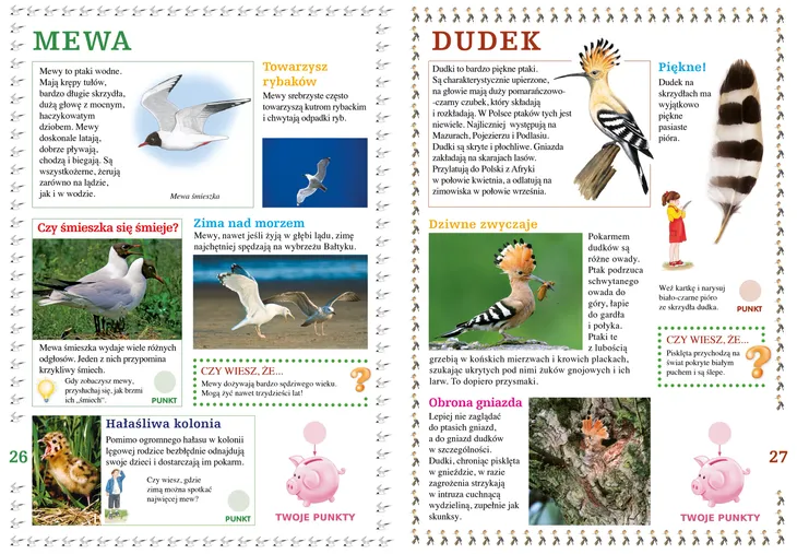 ptaki-wokol-nas-rok-wydania-2022