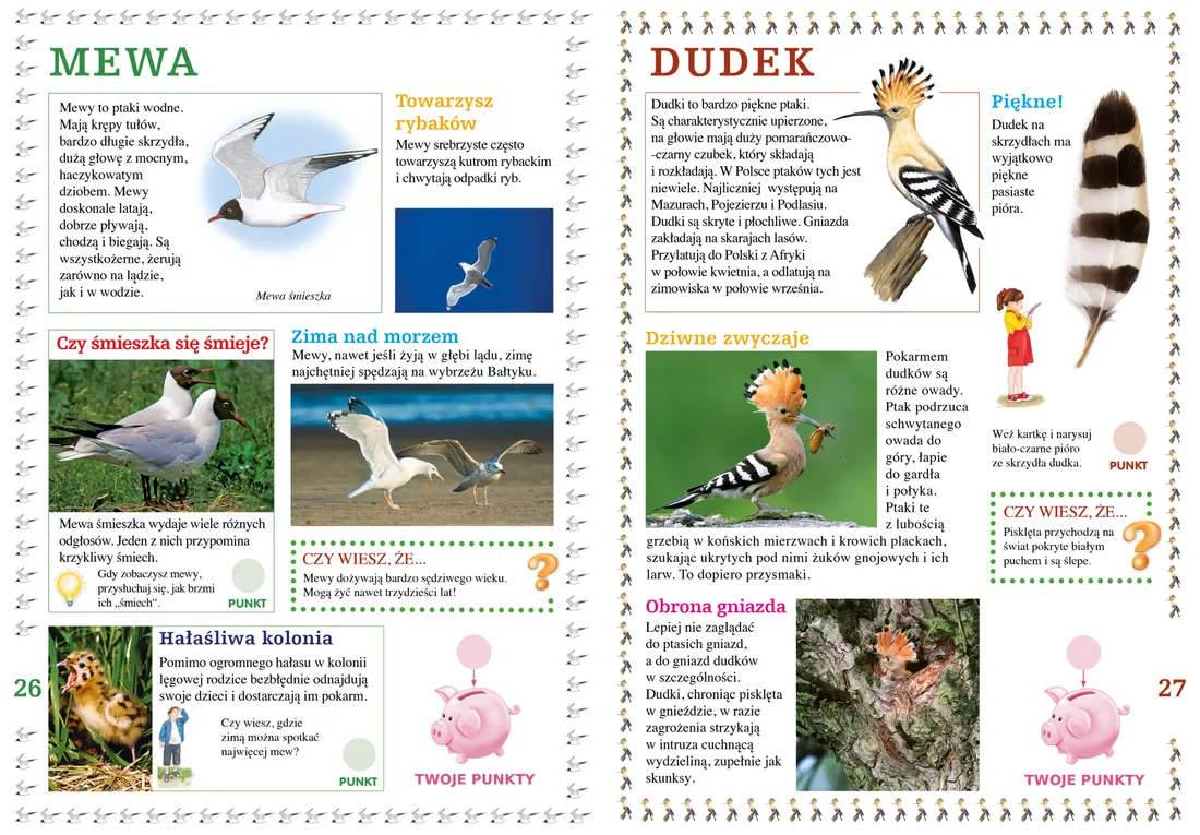 ptaki-wokol-nas-stan-nowy