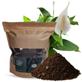 gotowe-podloze-dla-aglaonemy-diffenbachii-caladium-5l-bigos