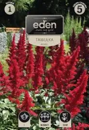 tawulka-arendsa-1-szt-eden