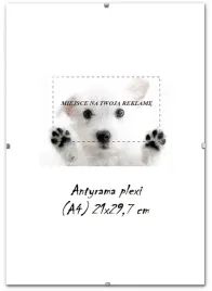 antyrama-a4-plexi-21x297-antyramy-297x21-ramka-na-dyplom-zdjecia