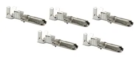 piny-zenskie-do-kostek-amp-040-harley-davidson-bigtwin-sportster-5szt