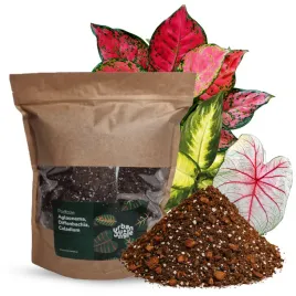 ziemia-uprawna-do-aglaonemy-diffenbachii-caladium-urban-jungle-5-l