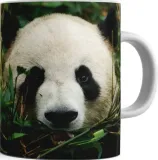kubek-bialy-panda-11