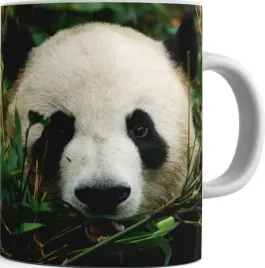 kubek-bialy-panda-11