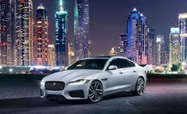 fototapeta-m2p-jaguar-01-416x254