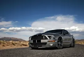 fototapeta-t4u-mustang-01-416x254