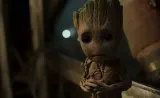 fototapeta-m2p-groot-09-152x104