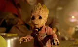 fototapeta-m2p-groot-06-152x104