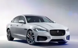fototapeta-m2p-jaguar-06-152x104