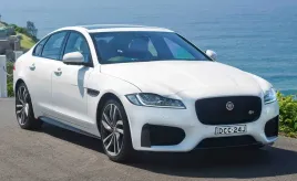 fototapeta-m2p-jaguar-10-254x184