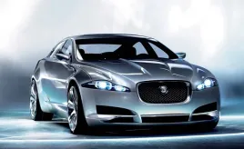 fototapeta-m2p-jaguar-02-416x254