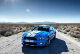 fototapeta-t4u-mustang-02-416x254