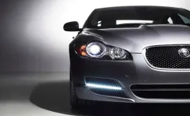 fototapeta-m2p-jaguar-07-416x254