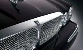 fototapeta-m2p-jaguar-09-152x104