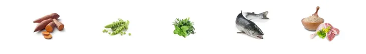 josera-naturecat-2kg-rodzaj-karmy-bezzbozowa