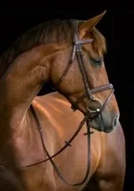 oglowie-dla-konia-classic-brazowy-roz-cob-covalliero