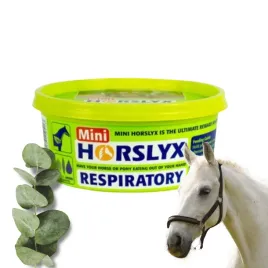 horslyx-respiratory-masa-energetyczna-dla-koni-w-formie-blokow-650g