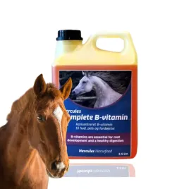 hercules-complete-b-vitamin-plynny-suplement-25l