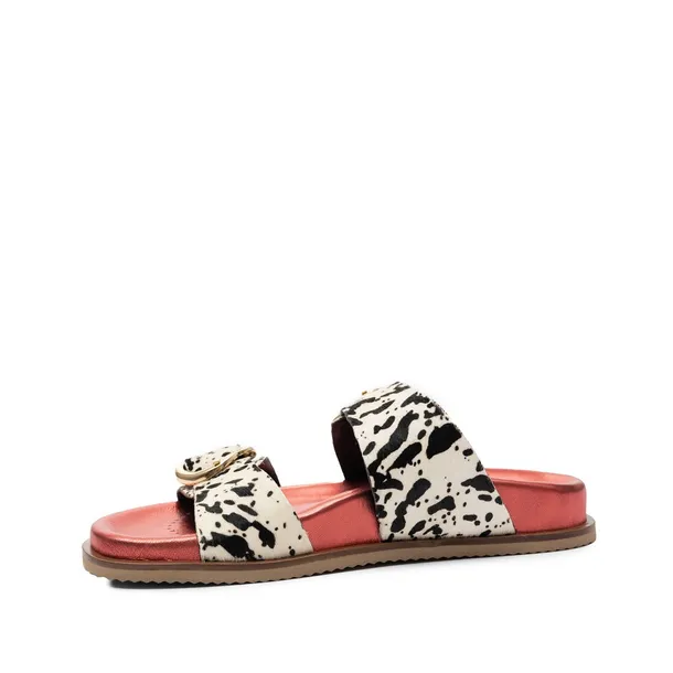 78025carneyred-marka-gioseppo