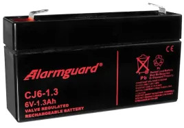 akumulator-bezobslugowy-agm-6-v-13-ah-zlacze-t1