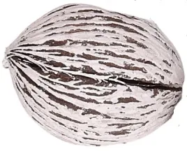 kula-mintola-bielona-naturalna-suszona-susz-7-9cm