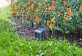 czujnik-wilgotnosci-smart-sensor-gardena-19040-seria-smart-sensor
