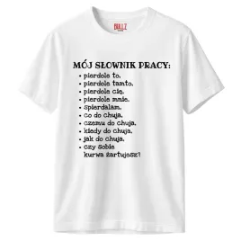 koszulka-biala-meska-slownik-pracy-zabawny-prezent-r-l