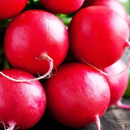 10x-rzodkiewka-carmen-penna-nasiona-warzyw-gratis