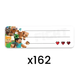 naklejki-imienne-dla-dzieci-na-zeszyty-do-szkoly-imienniki-naklejki-162x