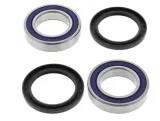 bearing-all-balls-toa251331
