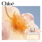 chloe-signature-edp-75-ml
