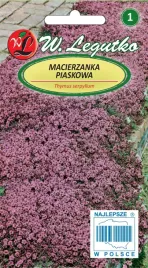 mrozoodporna-macierzanka-piaskowa-purpurowa-fioletowa-010-g-w-legutko
