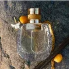 chloe-nomade-naturelle-edp-75-ml-stan-nowy
