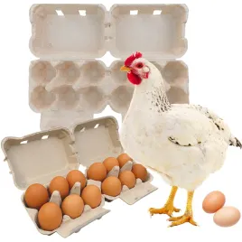 wytloczki-na-jaja-6-jajek-papierowe-wytlaczanki-karton-duzy-zestaw-90szt