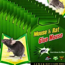 lep-na-myszy-szczury-pulapka-10x-lapka-myszolapka-silny-mocny-klej-aromat