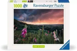 puzzle-1000-nadchodzi-burza